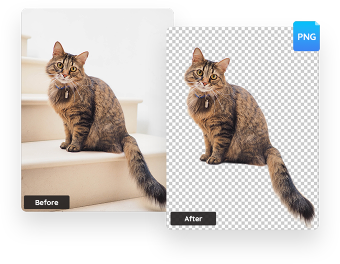 Free PNG Maker: Convert JPG to PNG Transparent Online