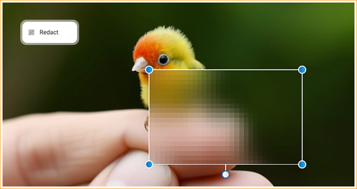 Redact bird image with the free editor
