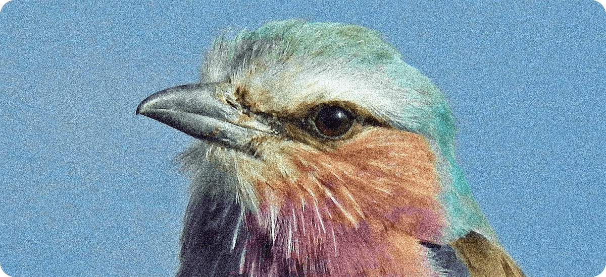 Vorher-Ergebnis